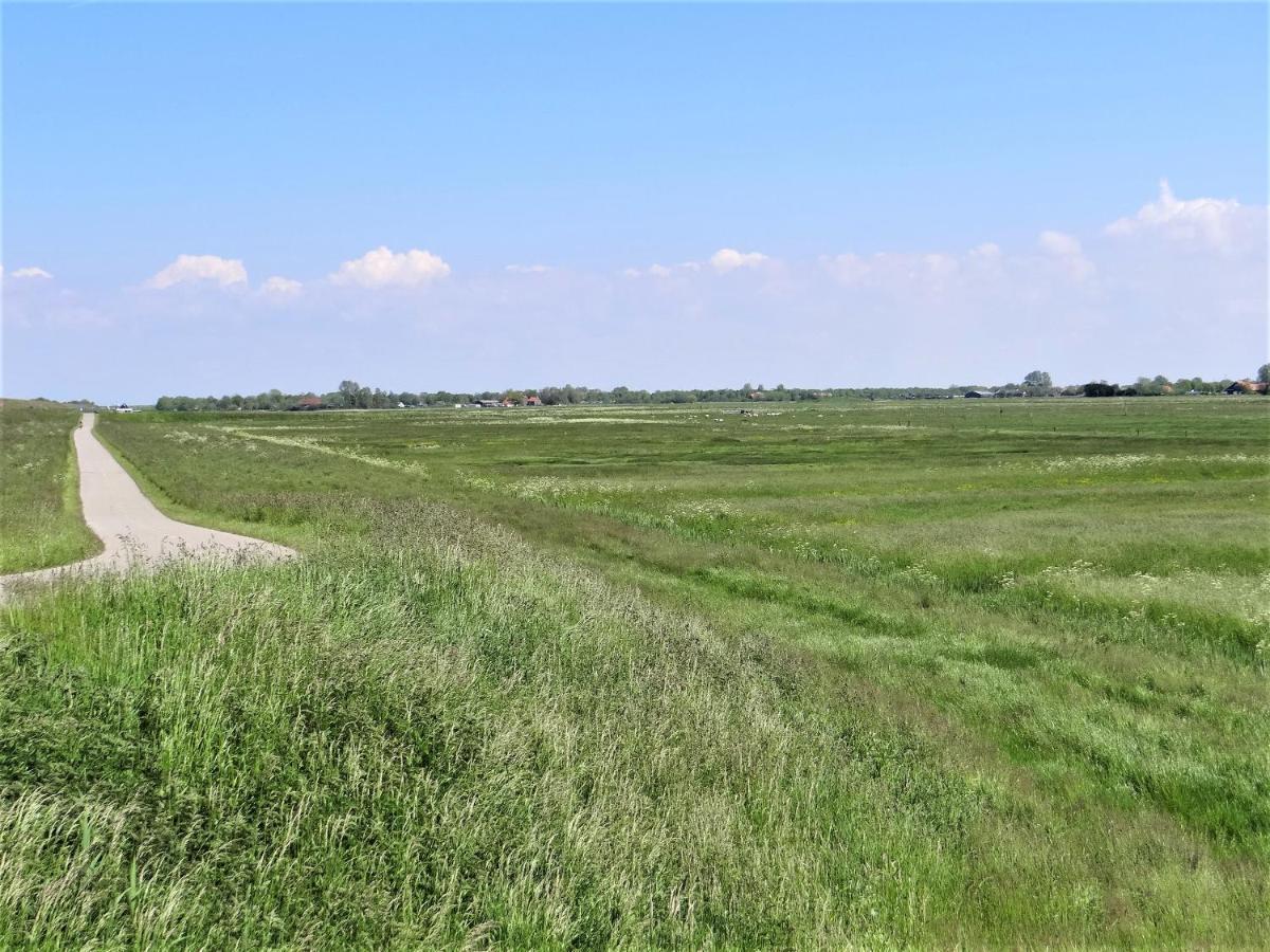 Vakantiewoning Grevelingen Villa Scharendijke Esterno foto